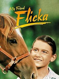 Image result for My Friend Flicka Movie