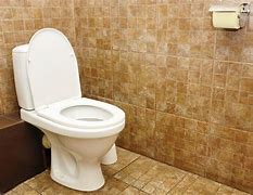 Image result for Toilet Use