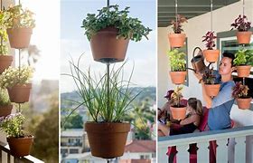Image result for Clay Pot Herb Garden
