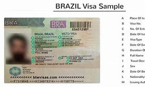 Image result for Brazil Visa