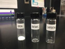 Image result for Carfentanil
