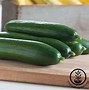 Image result for Aiy Cucumber