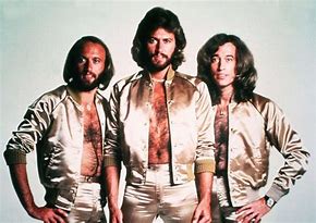 Image result for Bee Gees Twins