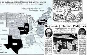 Image result for American Eugenics