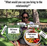 Image result for Plant Growing Memes