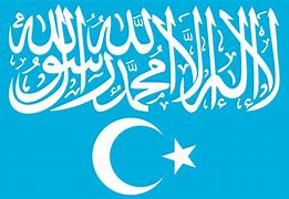 Image result for East Turkestan Islamic Movement