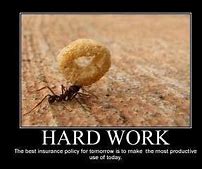 Image result for Funny Work Wisdom