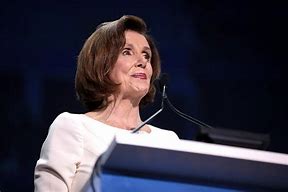 Image result for Nancy Pelosi State of the Union