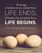 Image result for Egg Sayings