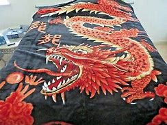 Image result for Dragon Mink Blanket