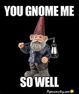 Image result for Dungeons and Dragons Gnome Meme