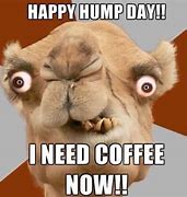 Image result for Funny Happy Wednesday Coffee