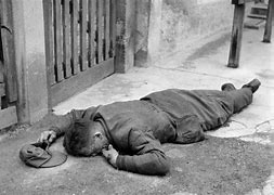 Image result for German Soldiers Killed in WW2