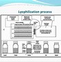 Image result for Lyophilization