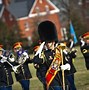 Image result for Bearskin Hats of British Guards