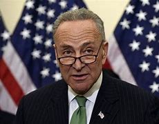 Image result for Ploci Schumer