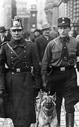 Image result for Gestapo Uniforms