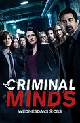 Image result for TV Series Similar to Criminal Minds