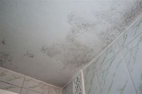 Image result for Fixing Mold in Bathroom Ceiling