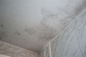 Image result for Mold Stains On Bathroom Ceiling