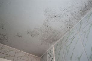 Image result for Black Mold On Ceiling in Bathroom