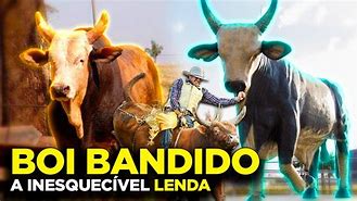 Image result for Boi Bandido