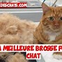 Image result for Une Brosse