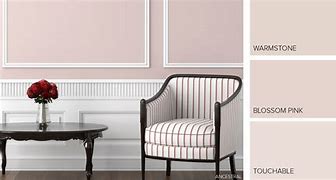 Image result for Pink Paint Colors