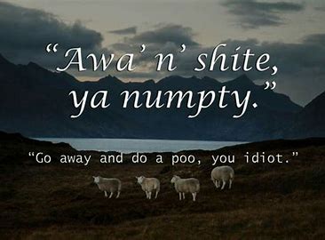 Image result for scottish quotes