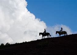 Image result for Mornings On Horseback David McCullough