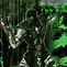 Image result for Reptile MKX