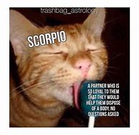 Image result for Funny Scorpio Horoscope