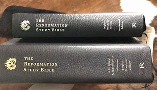 Image result for Reformation Study Bible ESV Leather