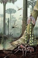 Image result for Carboniferous Swamp