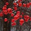 Image result for Unusual Outdoor Christmas Decorations