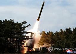 Image result for North Korea Long Range Artillery