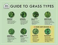 Image result for Pasture Weed Identification Chart