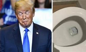 Image result for Pic of Trump Flushing