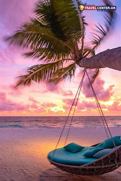 Tropical sunset beach background | Pink sand beach bahamas, Pink sand ...