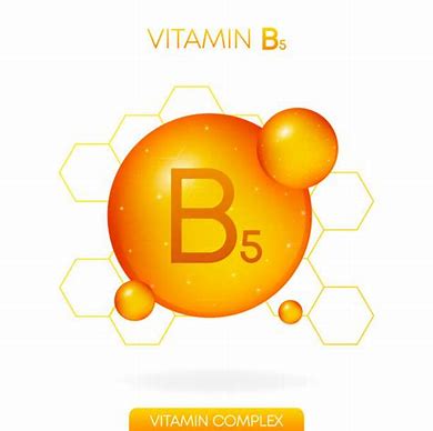 Image result for vitamin b5 free clipart