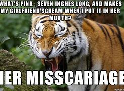 Image result for Funny Tiger Memes