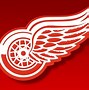 Image result for Detroit Hockey Logo