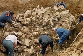 Image result for Bosnia Concentration Camp