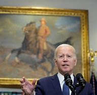 Image result for Biden Flags at Rally