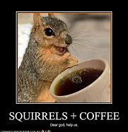 Image result for Funny Coffee Pics