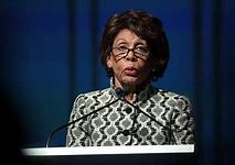 Image result for Maxine Waters Impeachment Pens
