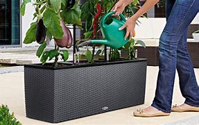 Image result for Self Watering Outdoor Planters
