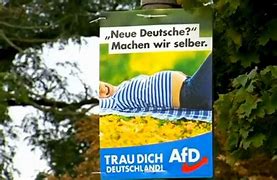 Image result for AFD Political Posters