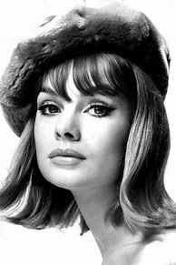 Image result for Jean Shrimpton Style