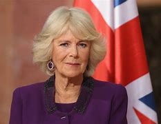 Image result for Camilla ladies in waiting